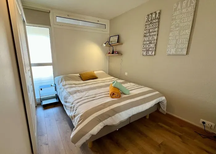 T2 Lumineux Apartment